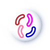 III. Probióticos y Microbiota